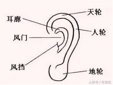 耳仔高過眉|面相秘訣（17）：耳朵的高低看你能力大小、財富多。